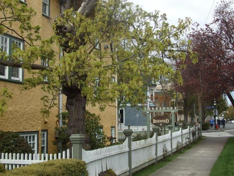 Rosewood Inn Victoria Esterno foto